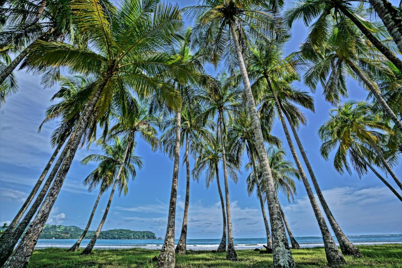 Nammbu Beach Front Bungalows Sámara エクステリア 写真